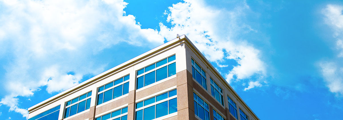 会员市场安全的攻击网站在线工具